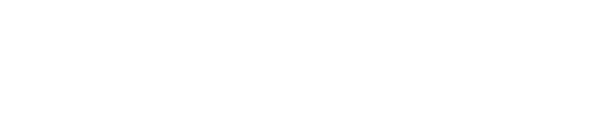 Shinevo-Logo