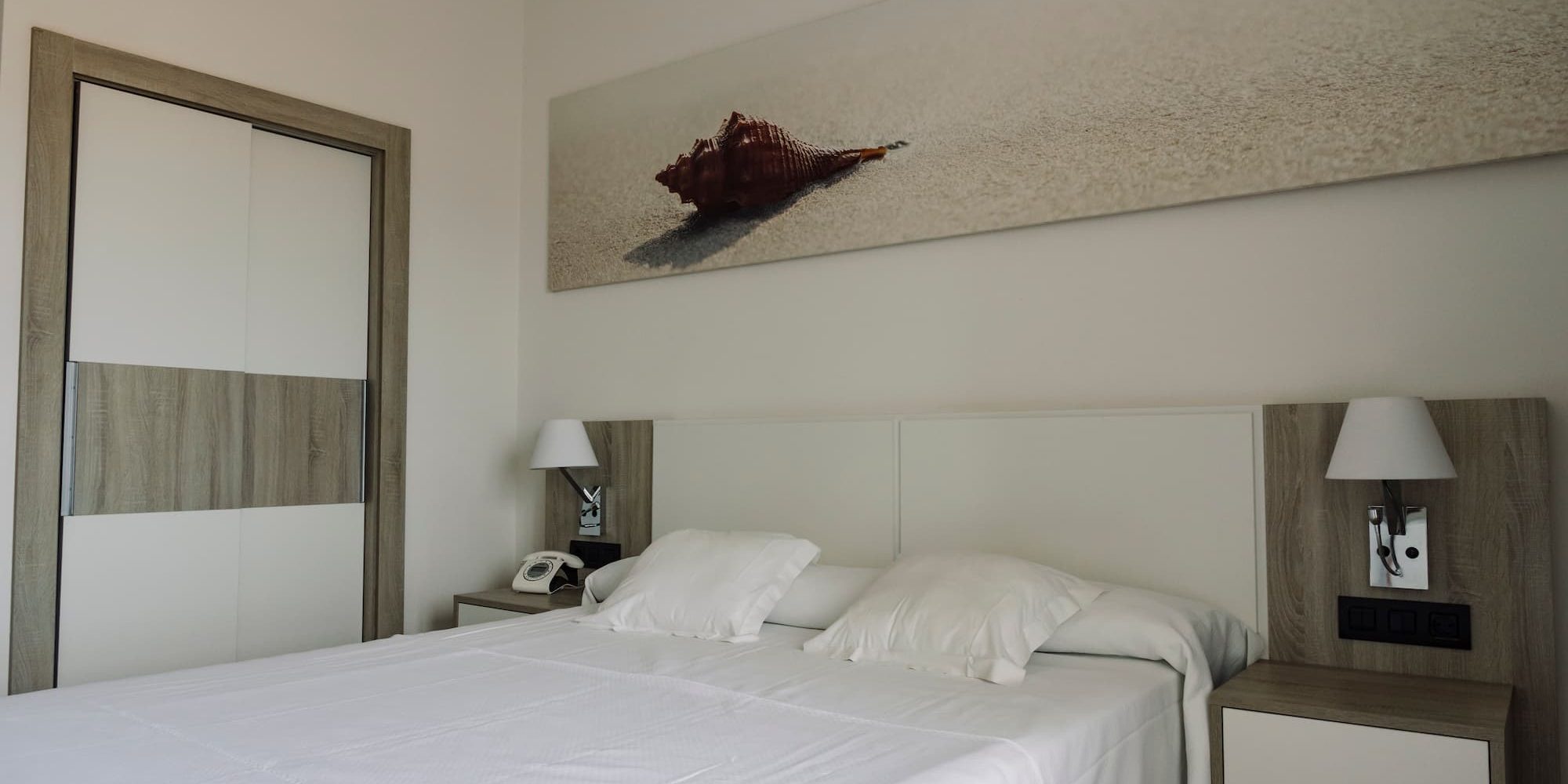 image-ZS4KH6A.jpg