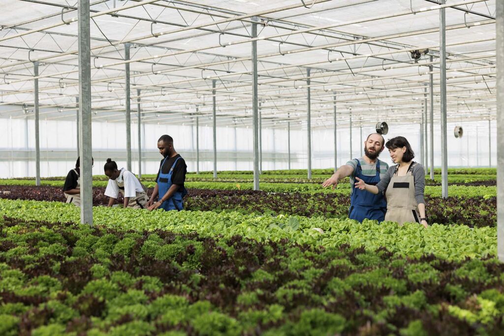 farmers-discussing-agricultural-methods-GQDJAUZ.jpg