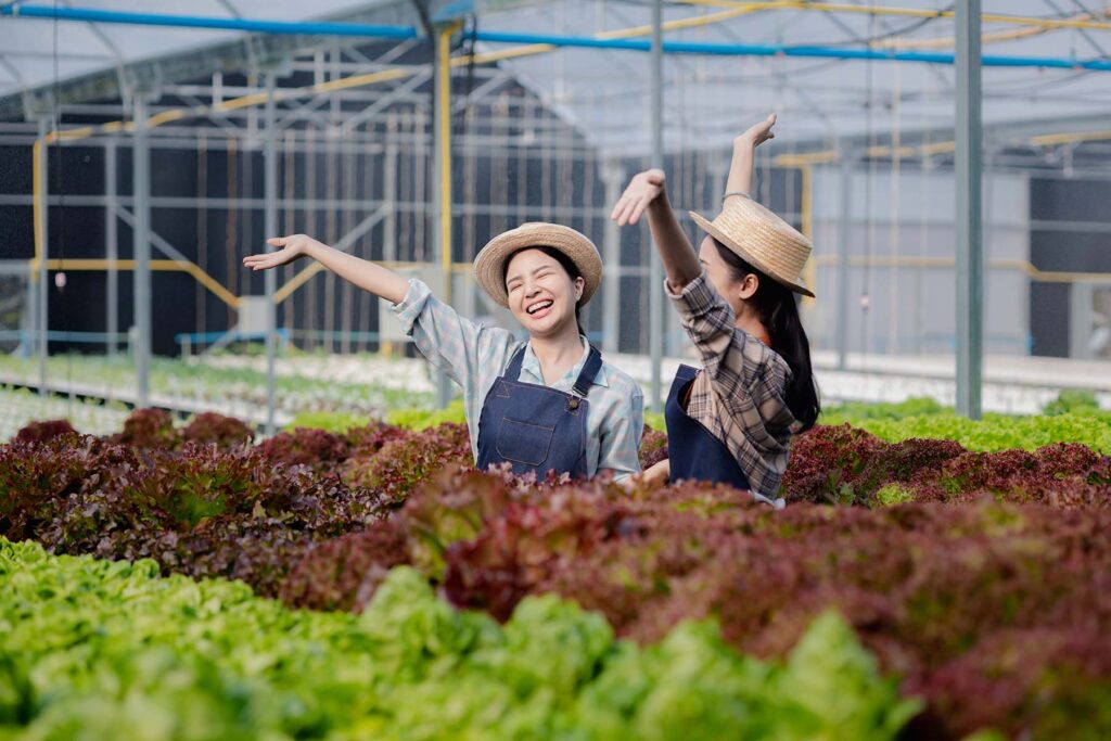 two-female-gardeners-picking-vegetables-at-the-hyd-HDA7VAV.jpg